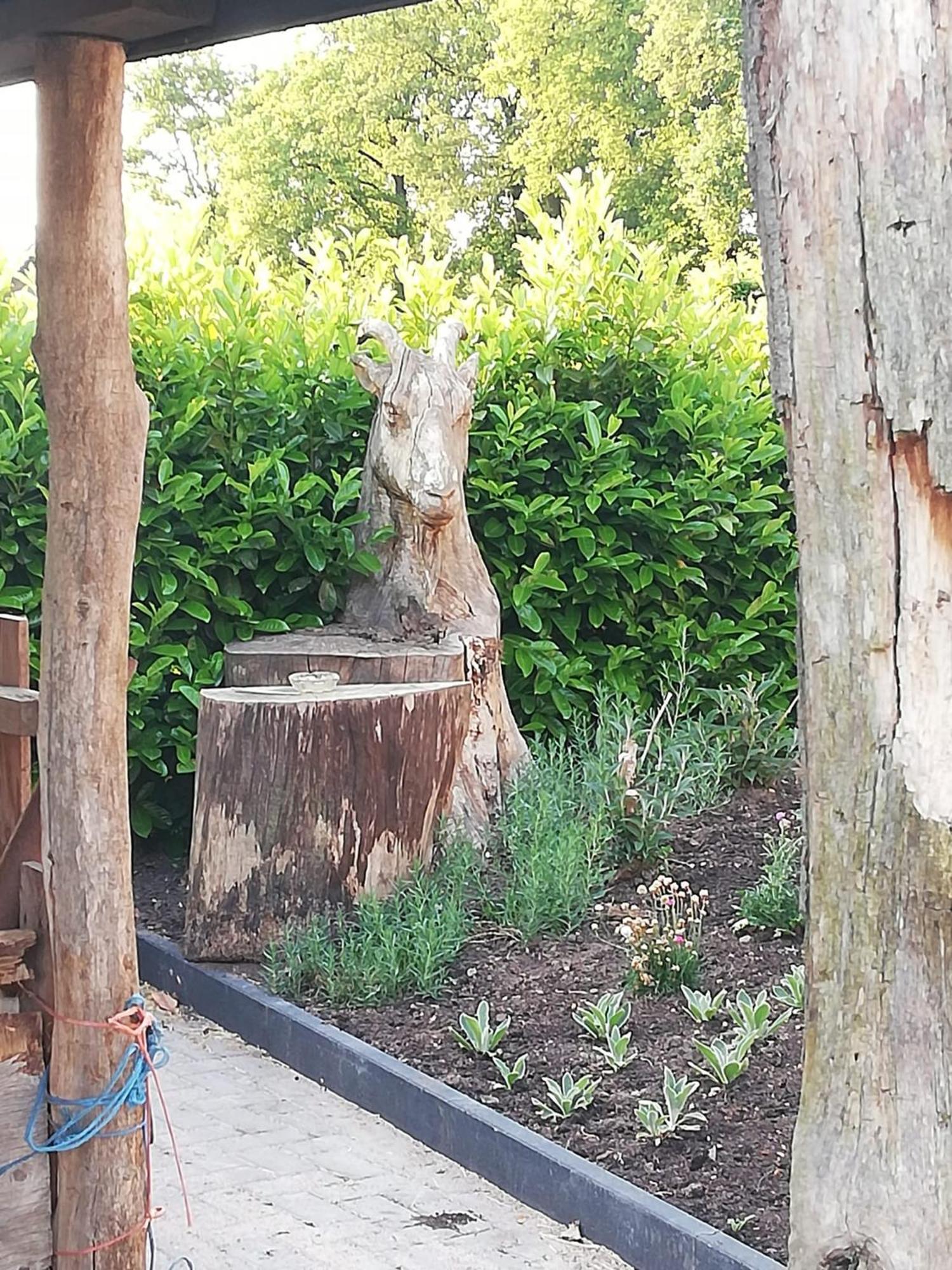 Logeren Bij De Soerensesteeg Uddel エクステリア 写真